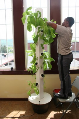 Fishburne Cadets Conduct Experiments with Hydroponics and Hydrogen Fuel Cells